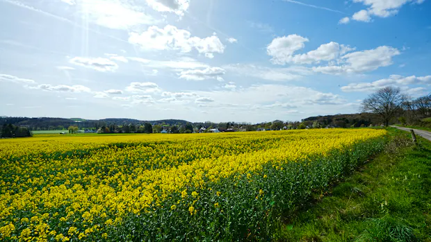 Grundstücksmarktbericht 2026: Was die neuen Zahlen für Solingen bedeuten